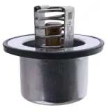 termostat-cummins-4318947