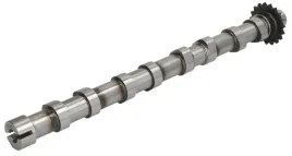 walek-rozrzadu-peugeot-citroen-2-0-bluehdi-ssacy
