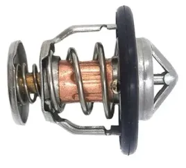 termostat-cummins-4900260