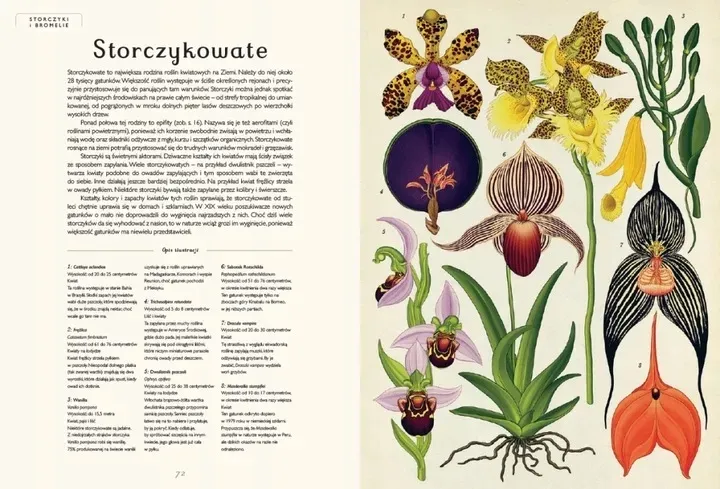 botanicum-plec-unisex