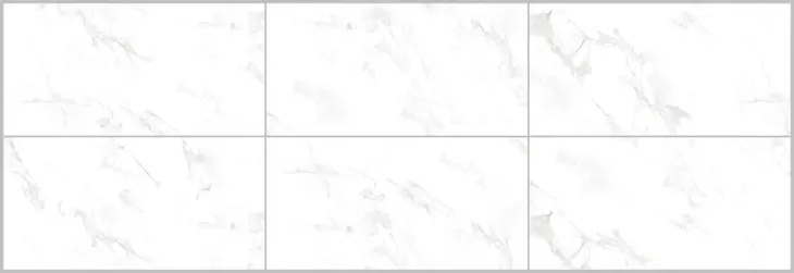 plytka-gresowa-acropol-white-polished-60x120-cm-marka-netto