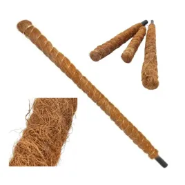 palik-kokosowy-ozdobny-podpora-do-roslin-eko-80-cm-dekoracyjny