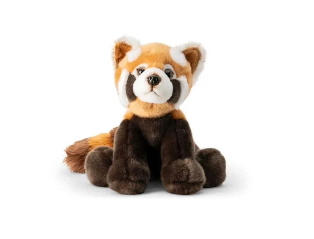 czerwona-panda-one-for-fun