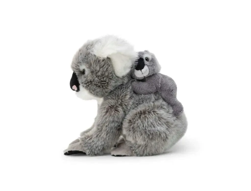 koala-z-dzieckiem-one-for-fun