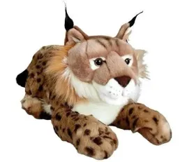 rys-50cm-dubi