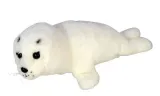 foka-38cm-dubi