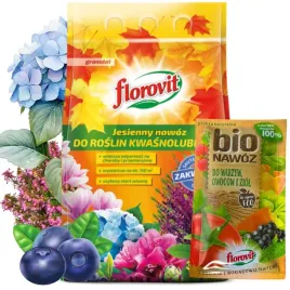 nawoz-jesienny-do-borowki-roslin-kwasnolubnych-hortensji-3kg-3l-bionawozu