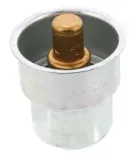 termostat-cummins-4952629
