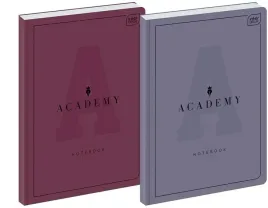 brulion-a4-96k-kratka-academy-5szt-interdruk