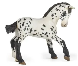 zrebie-appaloosa-papo