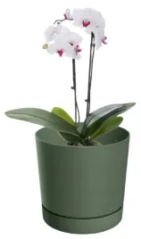 doniczka-z-podstawka-zielona-dekoracyjna-na-kwiaty-239-cm