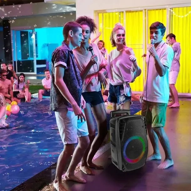 glosnik-bluetooth-karaoke-300w-mic-pilot-bateria-model-ft8led-mk2