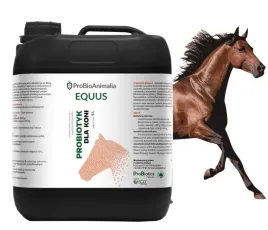 probiotyk-dla-koni-equus-5l-probiotics-polska-firma-rodzinna-eko-kolki