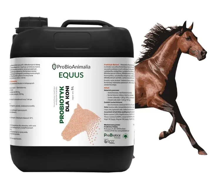 Jaki jest najlepszy Probiotyk dla koni? - ProBio EQUUS - 5L +++KONDYCJA+++