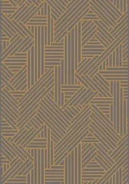 dywan-nowoczesny-z-krotkim-wlosem-140x200cm