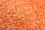 adbl-caremitt-rekawice-1szt-stan-nowy-kod-producenta-adb000081