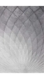 dywan-nowoczesny-z-miekkim-wlosem-120x170cm