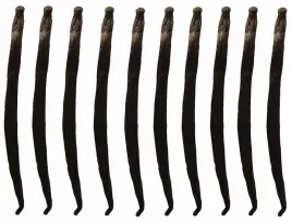 wanilia-laski-10-szt-10-14-cm-laska-wanilii-jakosc-1-swieze-wilgotne-laski