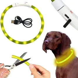 obroza-swiecaca-led-dla-psa-kota-regulowana-usb-wodoodporna-spacer-noc-zima