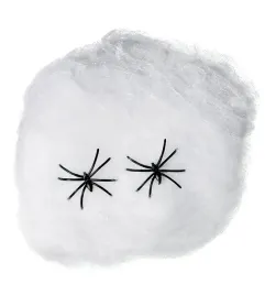 pajeczyna-biala-40g-6-pajaki