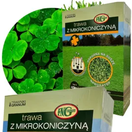trawa-nasiona-trawnik-z-mikrokoniczyna-odporny-na-susze-1-kg-40m
