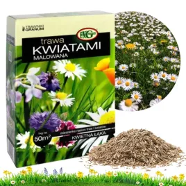 trawa-kwiatami-malowana-laka-kwiatowa-ogrodowa-miododajna-nasiona-1kg