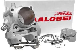 cylinder-kit-malossi-170cc-honda-forza-125-ie-4t-euro3-4-15-20-bez-glowicy