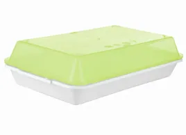 pojemnik-kuchenny-tacka-zamykany-na-ciasto-29x18-c