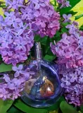 lanvin-eclat-d-arpege-edp-100ml-flakon-bez-korka-stan-opakowania-oryginalne