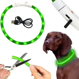 obroza-swiecaca-led-dla-psa-kota-regulowana-usb-wodoodporna-spacer-noc-zima