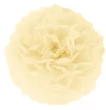 pompon-bibulowy-kremowy-25cm