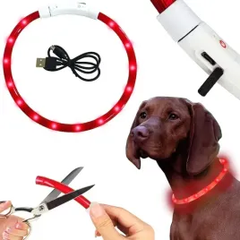 obroza-swiecaca-led-dla-psa-kota-regulowana-usb-wodoodporna-spacer-noc-zima