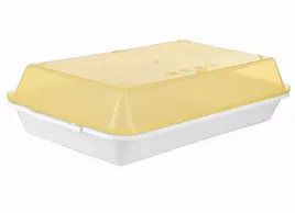 pojemnik-kuchenny-zamykany-dwuczesciowy-29x18-chd