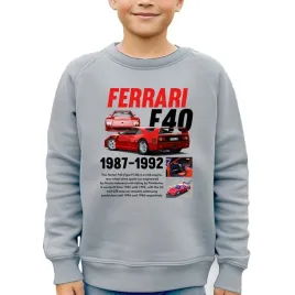 bluza-szara-dziecieca-prezent-dla-fana-motoryzacji-samochody-ferrari-wz-164