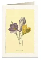 karnet-b6-koperta-6022-krokus