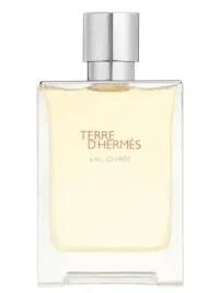 hermes-terre-d-hermes-eau-givree-edp-100-ml-flakon