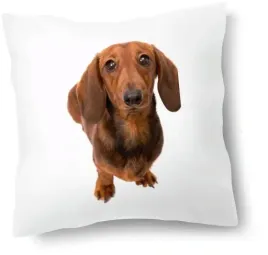 zestaw-poduszka-kubek-jamnik