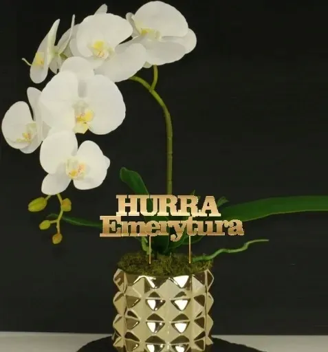 zestaw-dekoracji-z-okazji-przejscia-na-emeryture