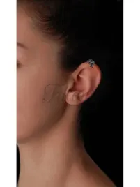 nausznica-tarantula-pajak-kolczyk-k2640-09g