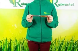 noz-ogrodniczy-sierpak-nozyk-do-kieszeni-na-grzyby-okulizak-skladany