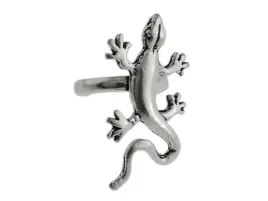 nausznica-gekon-jaszczur-jaszczurka-gad-kn032