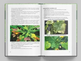 ksiazka-infouprawa-jak-uprawiac-warzywa-kalendarz-warzywnika-2024