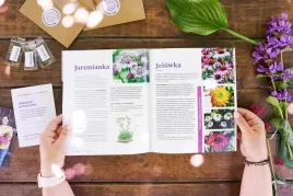 cudowny-swiat-bylin-sadz-pielegnuj-tnij-i-rozmnazaj-kwiaty-grabowska