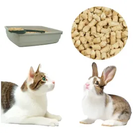 jasny-zwirek-dla-kota-chlonny-i-ekonomiczny-wybor-do-kuwety-10kg