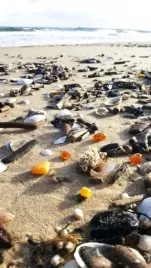 komplet-srebrny-zielony-bursztyn-kolczyki-wis-cert