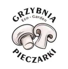 grzybnia-pieczarki-xxl-3-faza