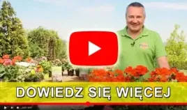 sekator-reczny-prezyzyjny-dlugie-ostrza-nozycowe-proste-precyzyjne-ciecie