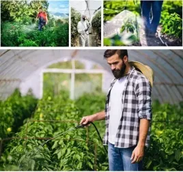 opryskiwacz-cisnieniowy-plecakowy-zraszacz-ogrodowy-spryskiwacz-reczny-12l