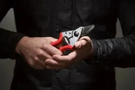 sekator-felco-6-pila-felco-601-zestaw-specjalny