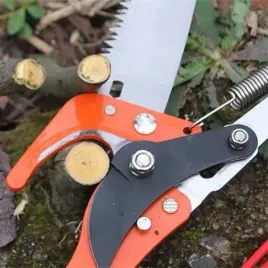 sekator-gasienicowy-do-galezi-teleskopowy-zyrafa-na-teleskop-wysiegnik